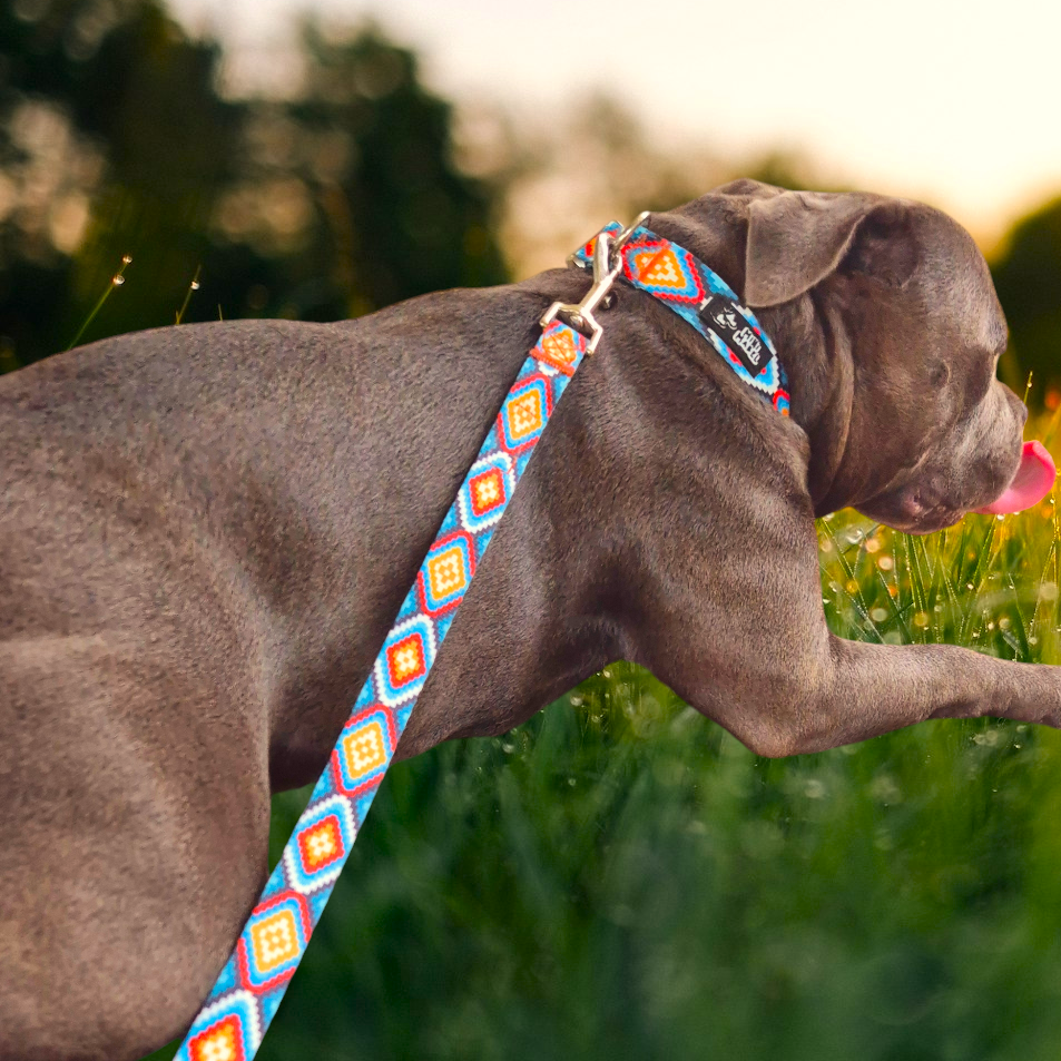 Dances with Wolves Dog Lead