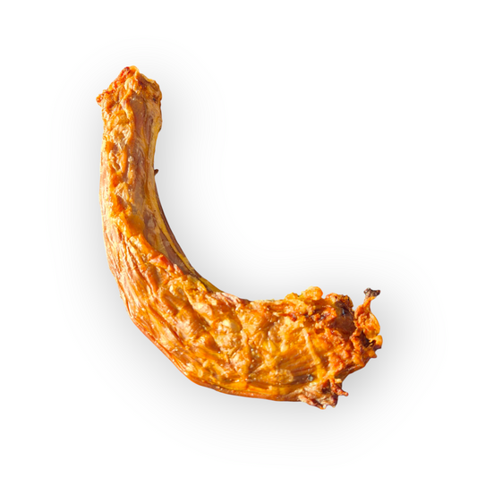 Turkey Neck