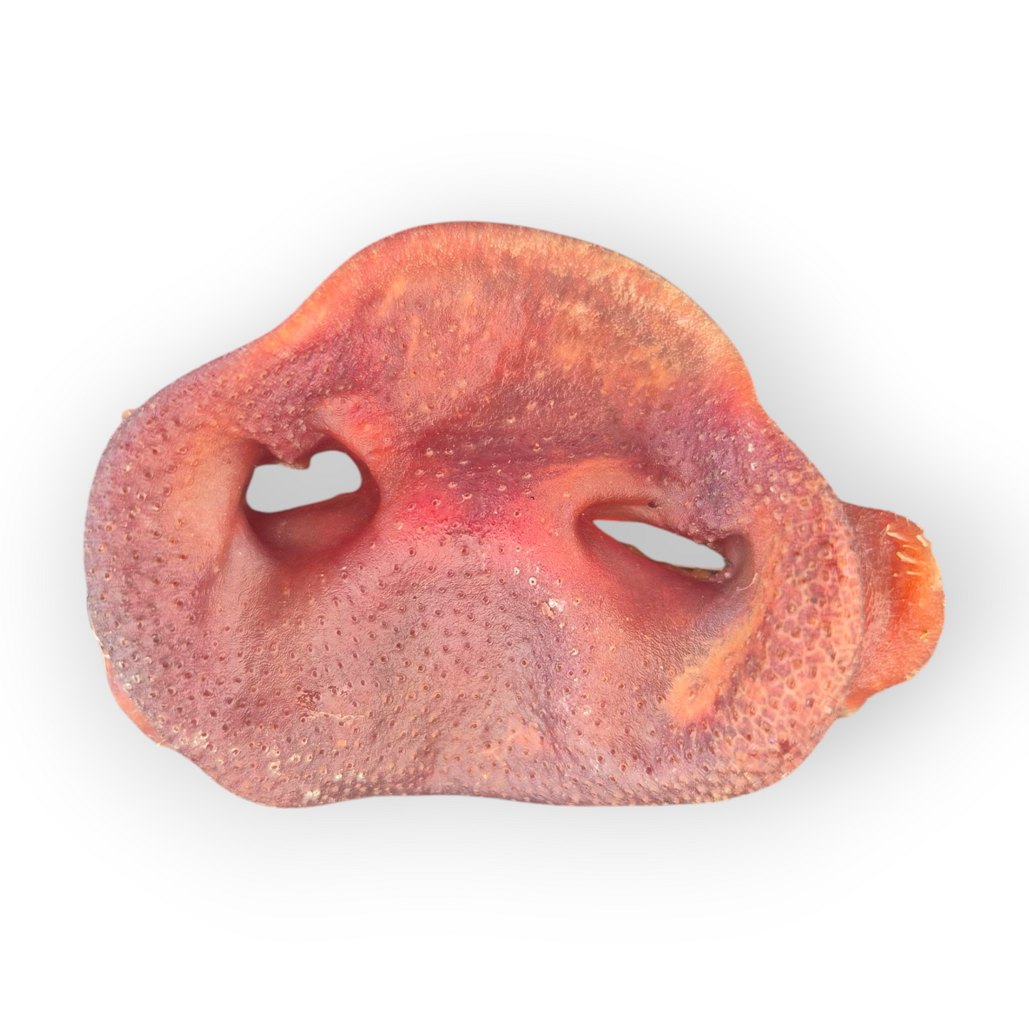 Pig Snouts