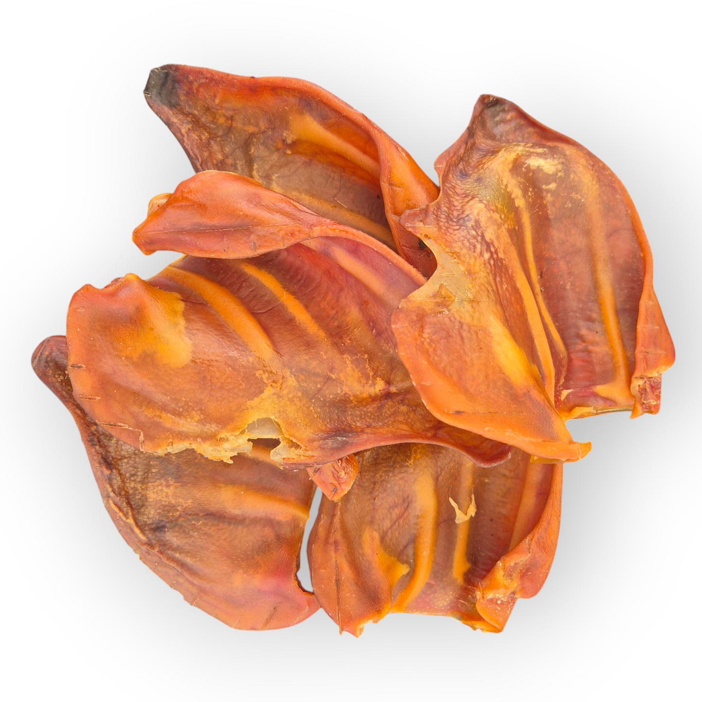 Pigs Ears 6 Pack