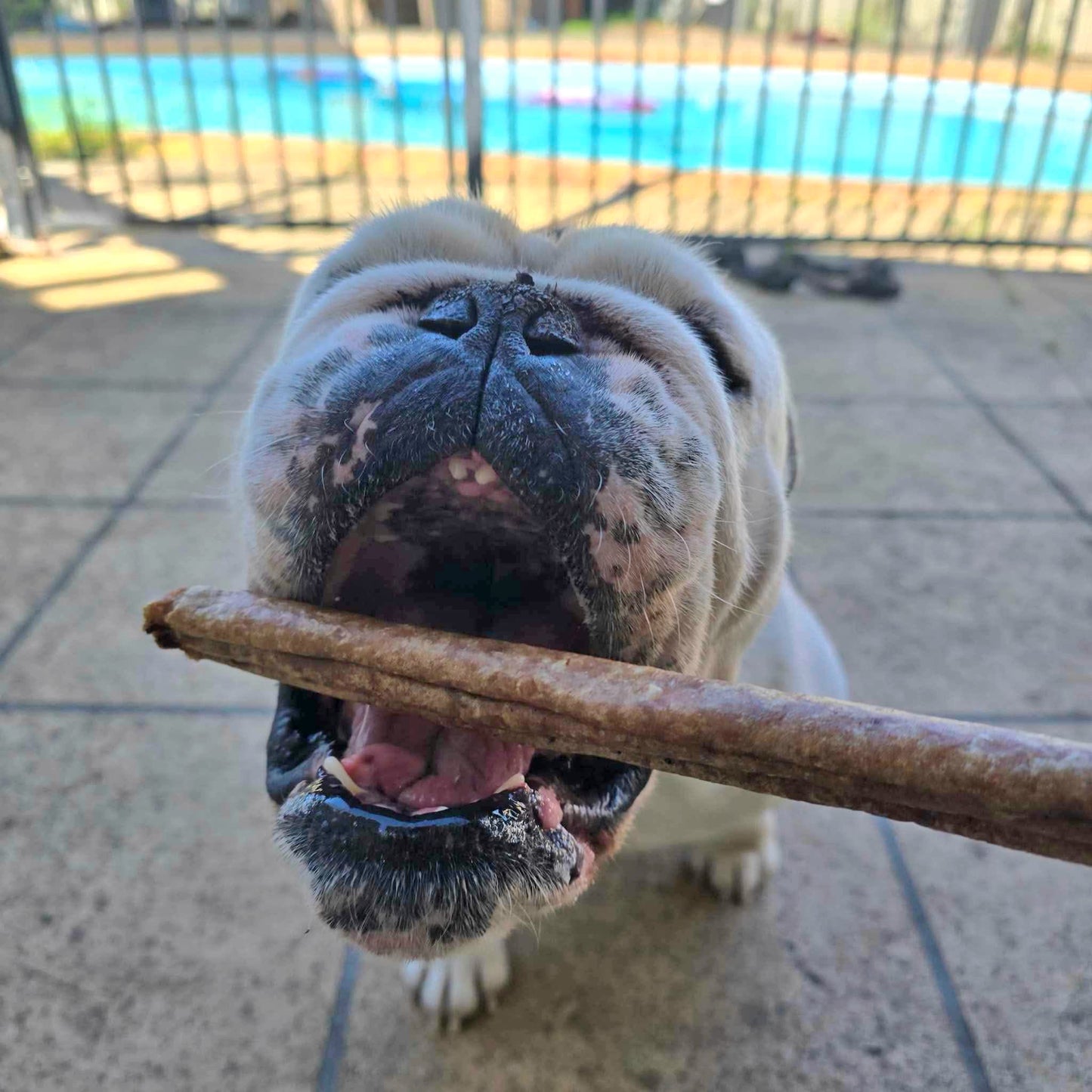 Meat Sticks 5 Pack