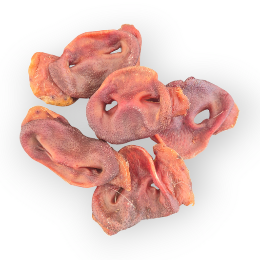 Pig Snouts 6 Pack